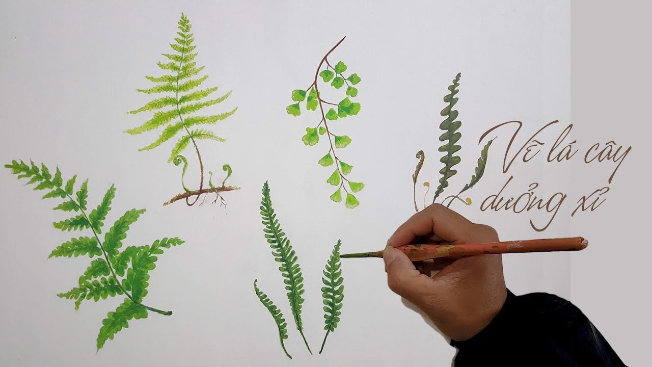 Cách vẽ 100 loài cây cối hoa lá siêu đơn giản  Ý tưởng nhật ký Hình vẽ  hoa Hoa